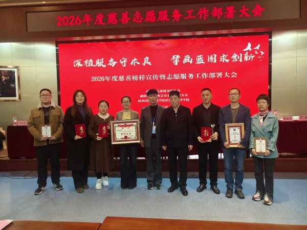 图片4 图片4